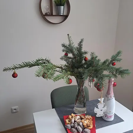 Διαμέρισμα Nerudova 245 *